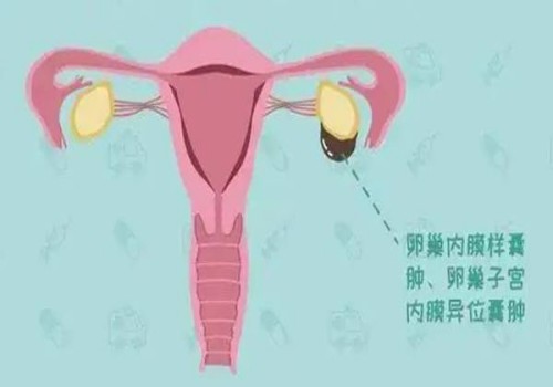 天津试管供卵代怀：﻿受孕胚胎着床10天体温上升0.5度，预示着好孕的到来！