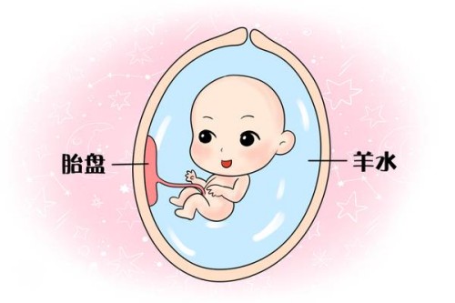 天津代生中心：﻿2023江山市妇幼保健院试管婴儿指引手册，费用及成功率参考