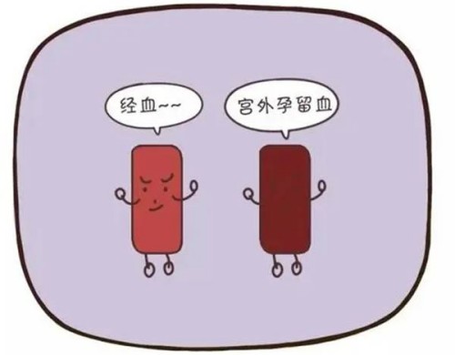 试管婴儿胚胎培养不成功的原因是什么？